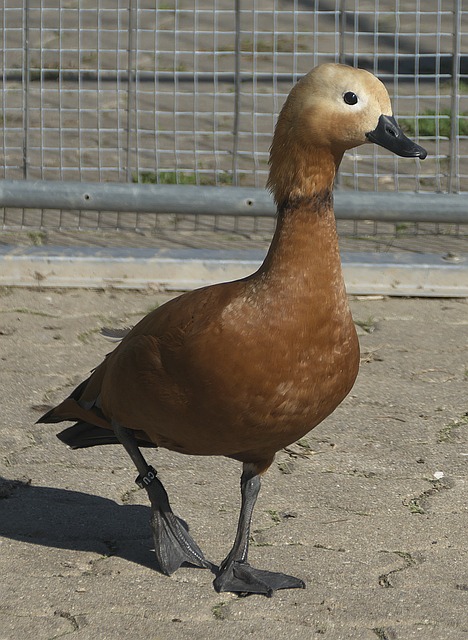 他们将迎来