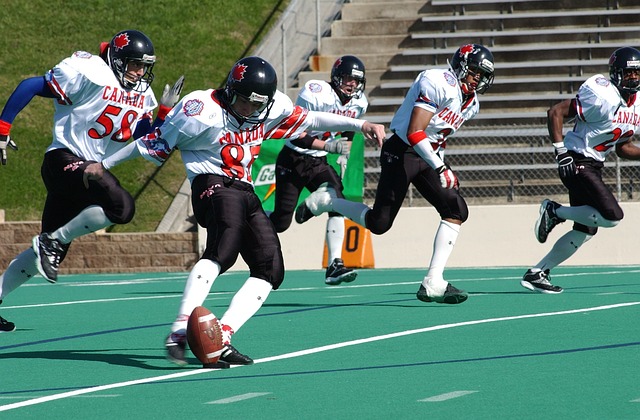 分化的观点 分化的观点