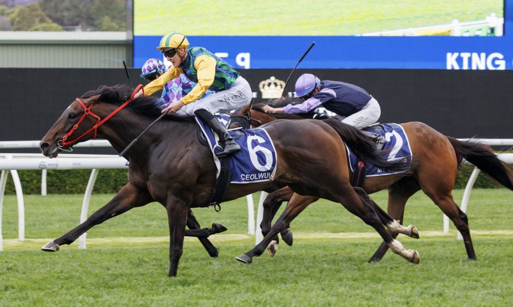 小球总能激 小球总能激