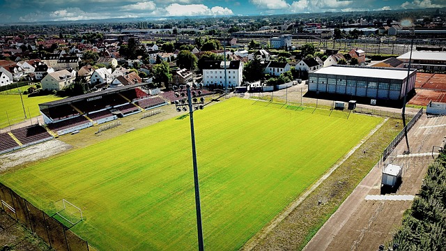 迪尔森因入 迪尔森因入