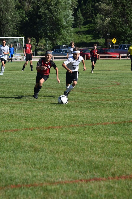 山推向了世 山推向了世